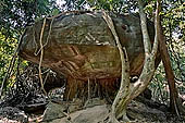 Kbal Spean, jungle landscapes along the path on the Kulen hills leading to the river 